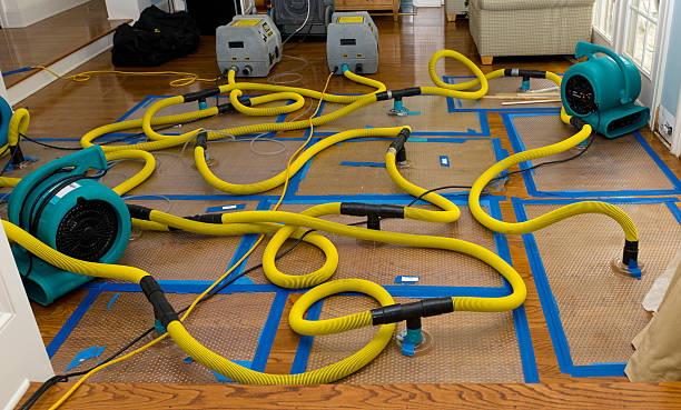 Professional Structural Drying And Dehumidification technician working in Hakalau, HI